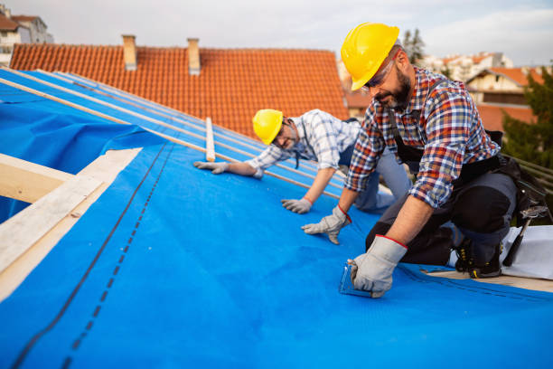 Best Gutter Installation and Roofing  in Earlington, KY