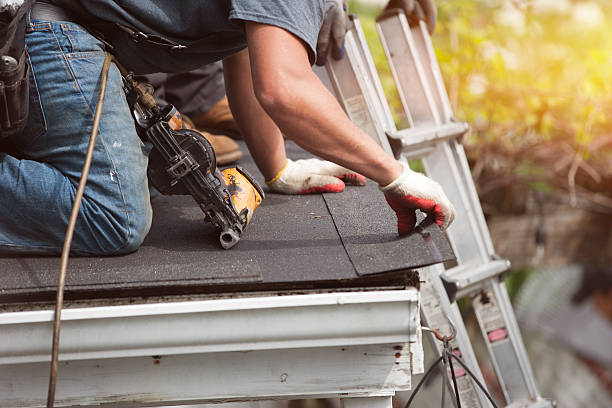 Best Roof Gutter Cleaning  in Earlington, KY