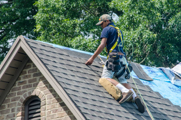 Best Residential Roof Replacement  in Earlington, KY